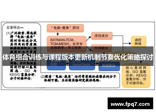 体育组合训练与课程版本更新机制节奏优化策略探讨